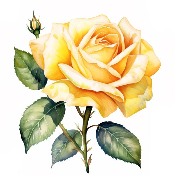 Yellow Rose Watercolor Clipart: Elegant Floral Designs (JPG, PNG) — image 4