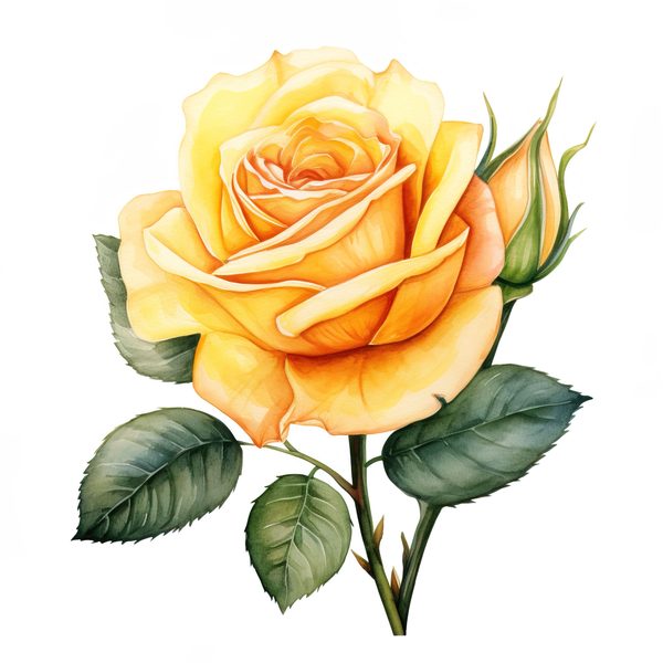 Yellow Rose Watercolor Clipart: Elegant Floral Designs (JPG, PNG) — image 6