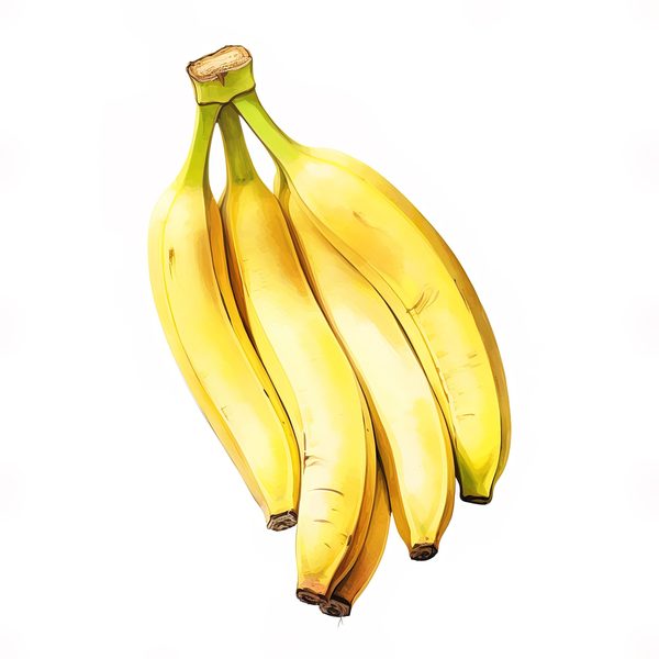 Watercolor Banana Clipart: Fruit Basket PNG, Commercial Use (Digital Download) — image 2