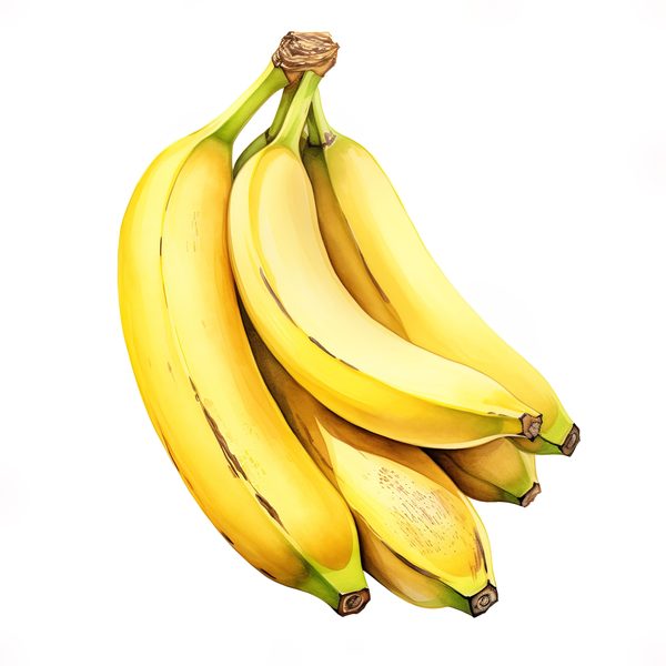 Watercolor Banana Clipart: Fruit Basket PNG, Commercial Use (Digital Download) — image 5