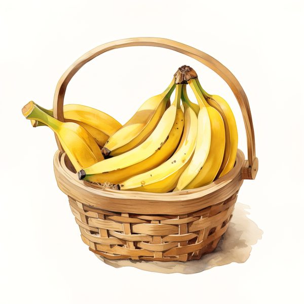 Watercolor Banana Clipart: Fruit Basket PNG, Commercial Use (Digital Download) — image 9