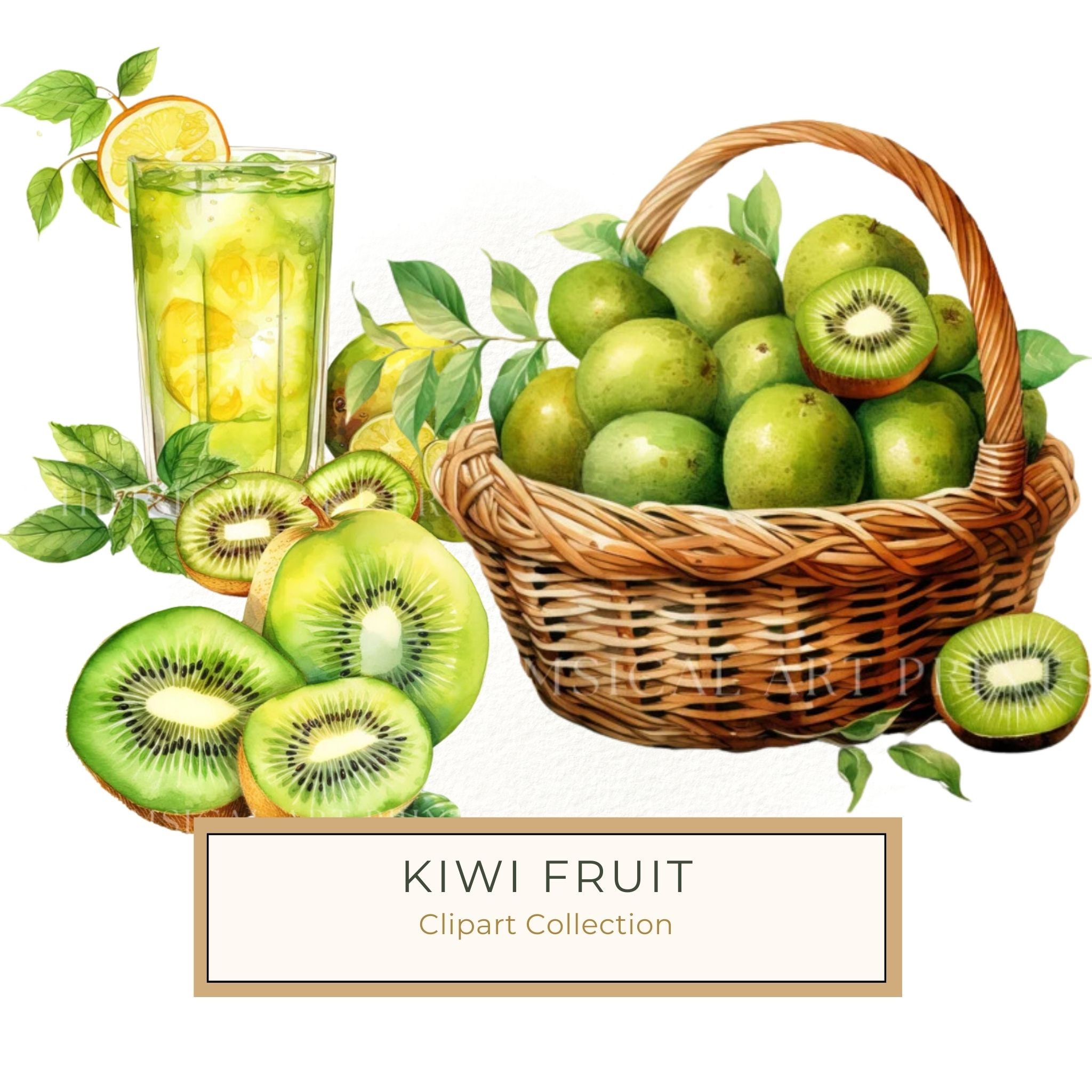 Kiwi Drink Watercolor Clipart: Tropical Fruit Illustrations (PNG, JPG)