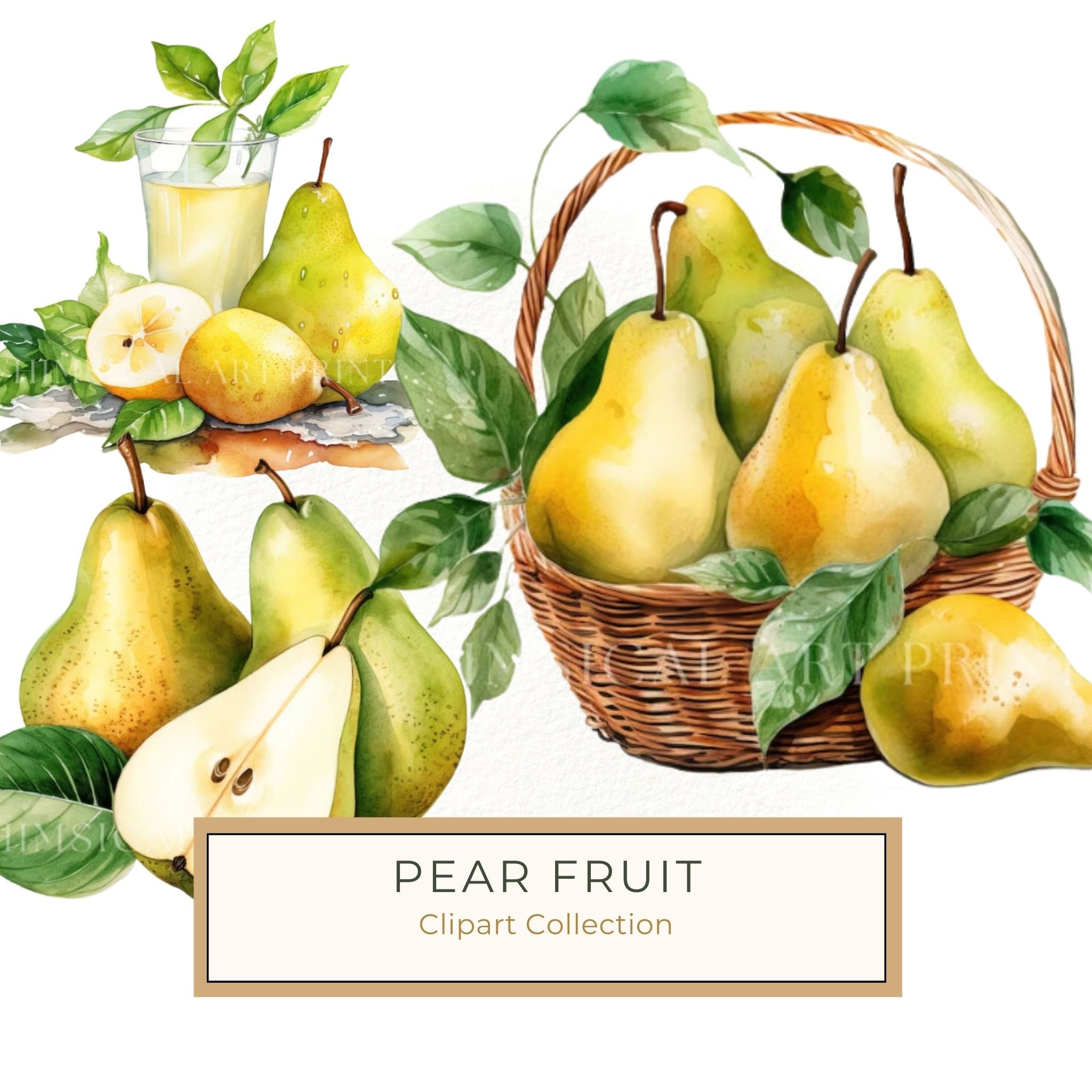 Watercolor Pears Clipart: Fruit Basket, Pear Juice Art (PNG JPG Digital Download)