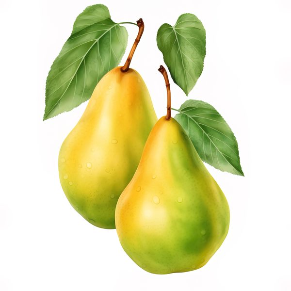 Watercolor Pears Clipart: Fruit Basket, Pear Juice Art (PNG JPG Digital Download) — image 1