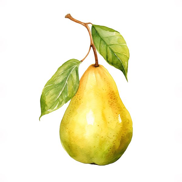Watercolor Pears Clipart: Fruit Basket, Pear Juice Art (PNG JPG Digital Download) — image 3