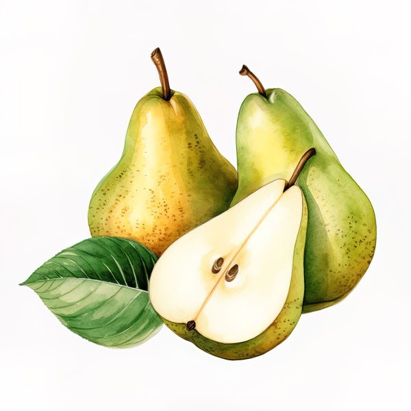 Watercolor Pears Clipart: Fruit Basket, Pear Juice Art (PNG JPG Digital Download) — image 7