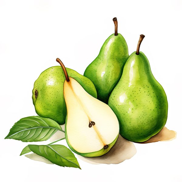 Watercolor Pears Clipart: Fruit Basket, Pear Juice Art (PNG JPG Digital Download) — image 9