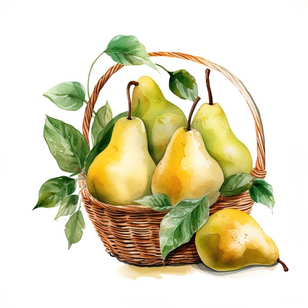 Watercolor Pears Clipart: Fruit Basket, Pear Juice Art (PNG JPG Digital Download) — image 12