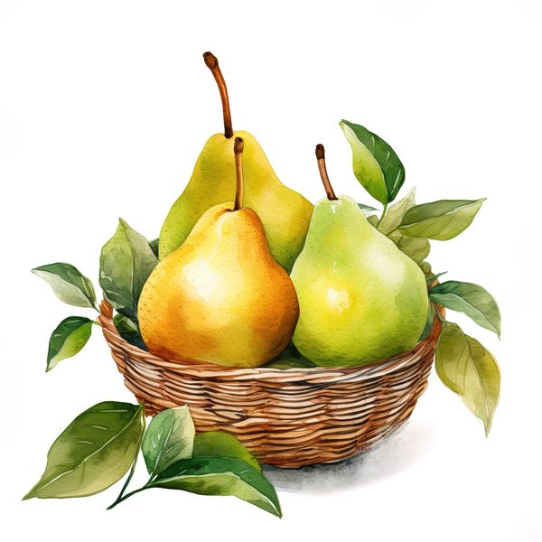 Watercolor Pears Clipart: Fruit Basket, Pear Juice Art (PNG JPG Digital Download) — image 13