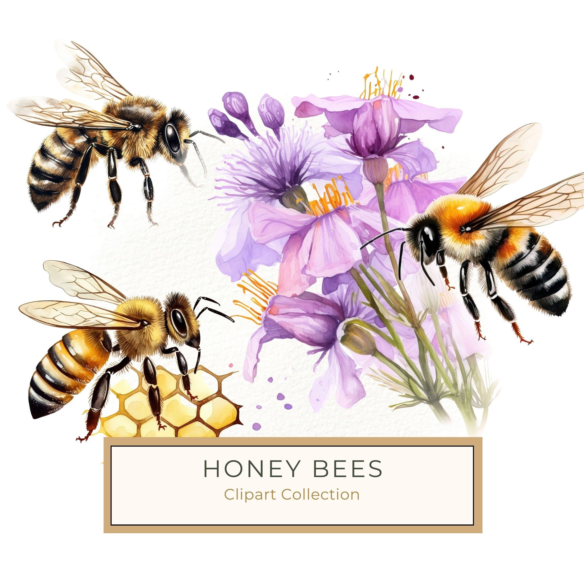 Watercolor Honeybee Clipart: Honeycomb & Flowers (Digital Art)