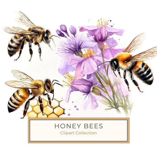 Watercolor Honeybee Clipart: Honeycomb & Flowers (Digital Art)