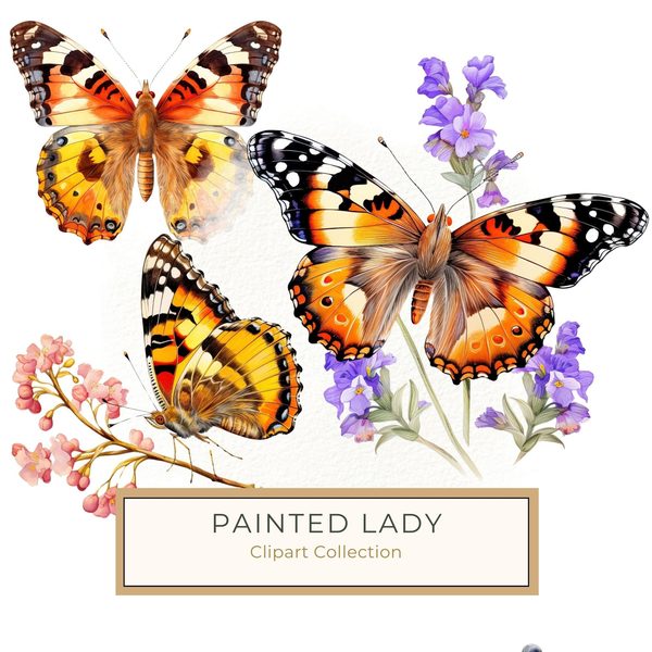 Watercolor Painted Lady Butterfly Clipart: Orange Daisies (JPG, PNG)