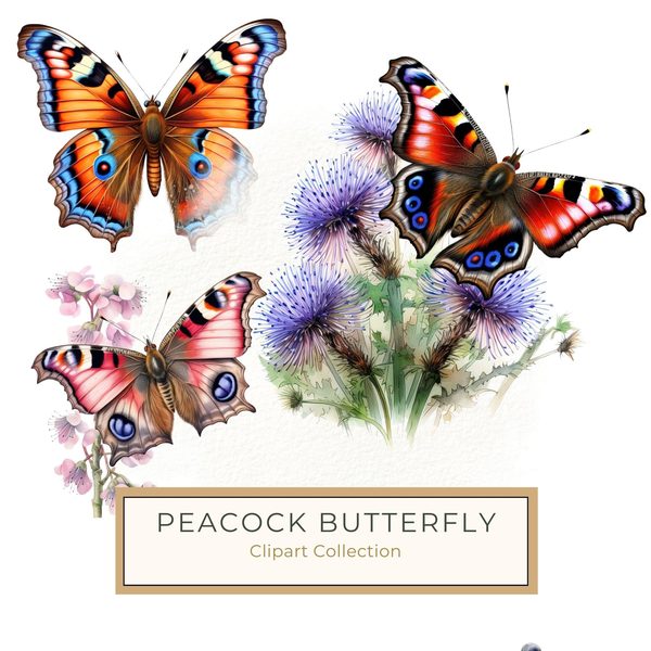 Watercolor Butterfly Clipart: Thistle Art, DIY Graphics (JPG, PNG)