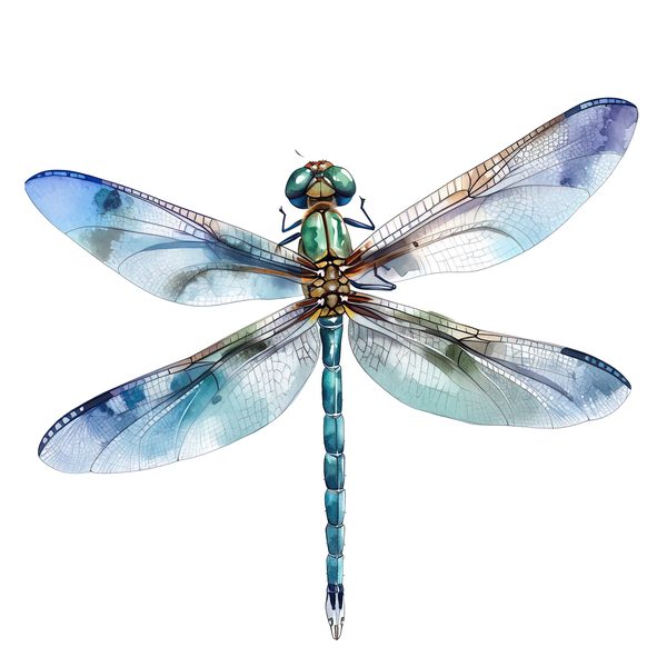 Watercolor Blue Dragonfly Clipart for digital crafting (10 PNGs, Digital Download, Commercial Use) — image 1