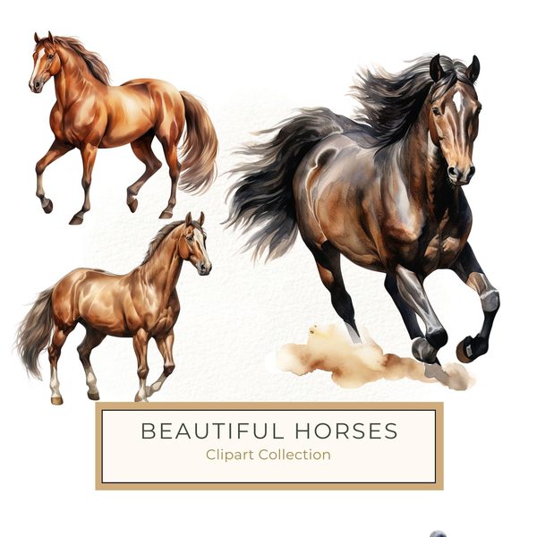 Watercolor Thoroughbred Horse Art: Racehorse Portrait PNG (Commercial Use)