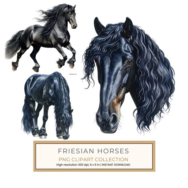 Watercolor Friesian Horse Clipart for Digital Crafting and Sublimation (Digital Download, Commercial Use)