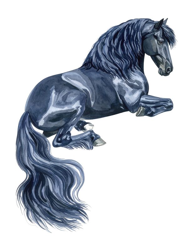Watercolor Friesian Horse Clipart for Digital Crafting and Sublimation (Digital Download, Commercial Use) — image 5