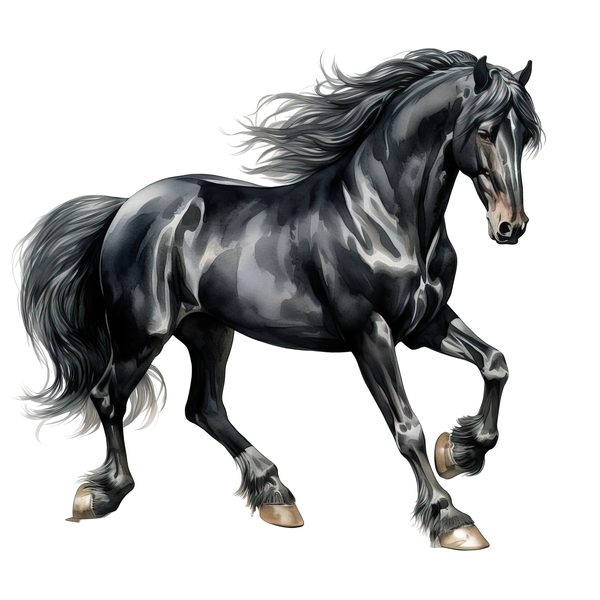 Watercolor Friesian Horse Clipart for Digital Crafting and Sublimation (Digital Download, Commercial Use) — image 6