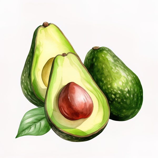 Watercolor Avocado Clipart: Fruit Illustration for Menu Design (Digital Download) — image 2