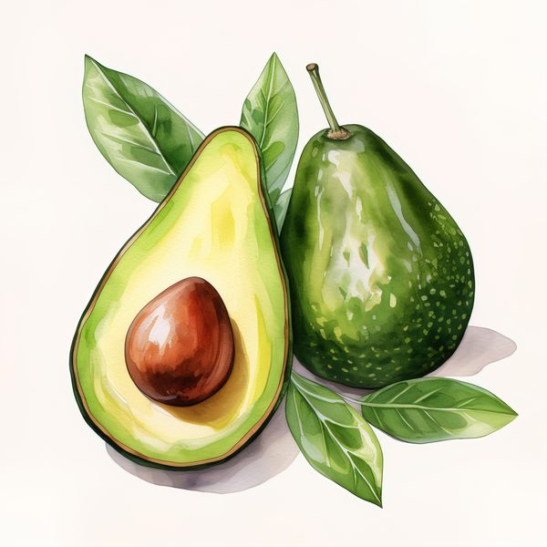 Watercolor Avocado Clipart: Fruit Illustration for Menu Design (Digital Download) — image 4