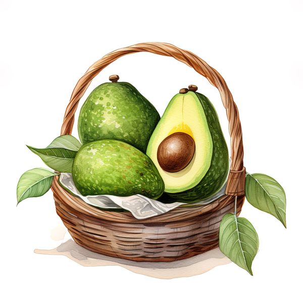 Watercolor Avocado Clipart: Fruit Illustration for Menu Design (Digital Download) — image 12