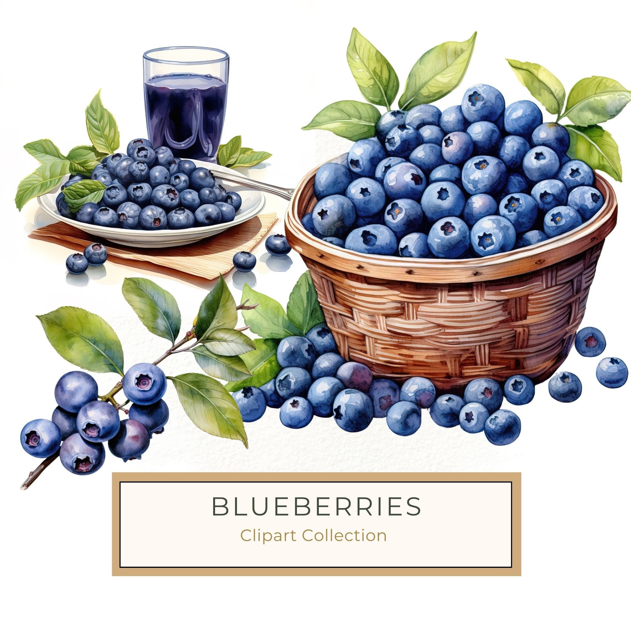 Watercolor Blueberries Clipart: Basket & Berries Art (PNG JPG, 300 DPI)