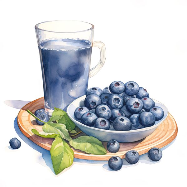Watercolor Blueberries Clipart: Basket & Berries Art (PNG JPG, 300 DPI) — image 9