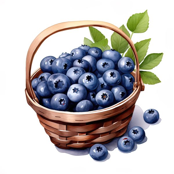 Watercolor Blueberries Clipart: Basket & Berries Art (PNG JPG, 300 DPI) — image 11