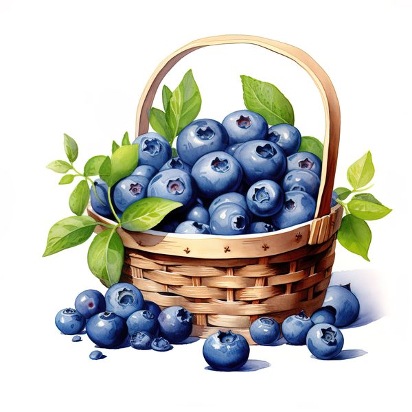 Watercolor Blueberries Clipart: Basket & Berries Art (PNG JPG, 300 DPI) — image 13