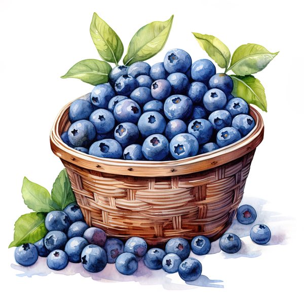 Watercolor Blueberries Clipart: Basket & Berries Art (PNG JPG, 300 DPI) — image 14