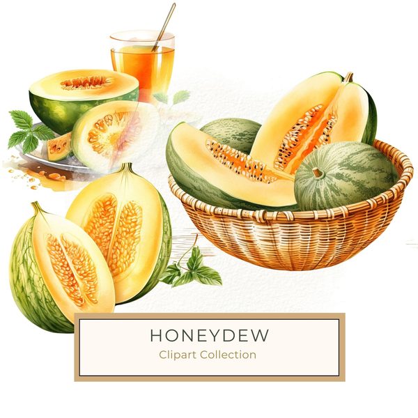 Melon Watercolor Clipart: Cantaloupe & Honeydew Art (JPG, PNG)