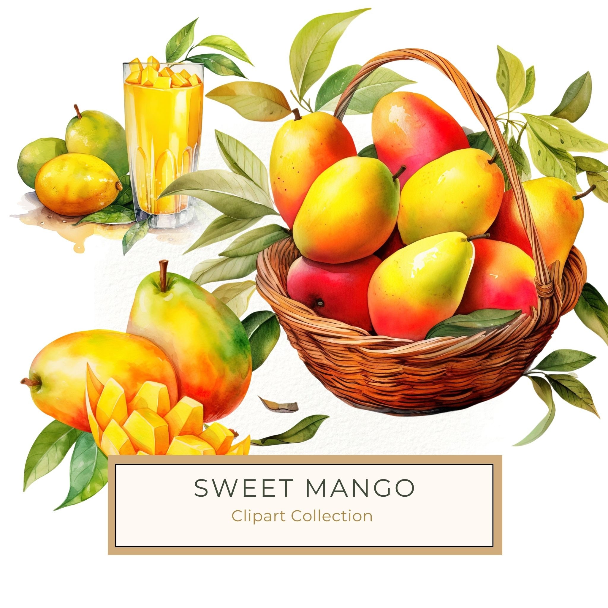Watercolor Mango Clipart, Fruit Basket Art (PNG JPG, 300 DPI)