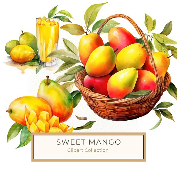 Watercolor Mango Clipart, Fruit Basket Art (PNG JPG, 300 DPI)