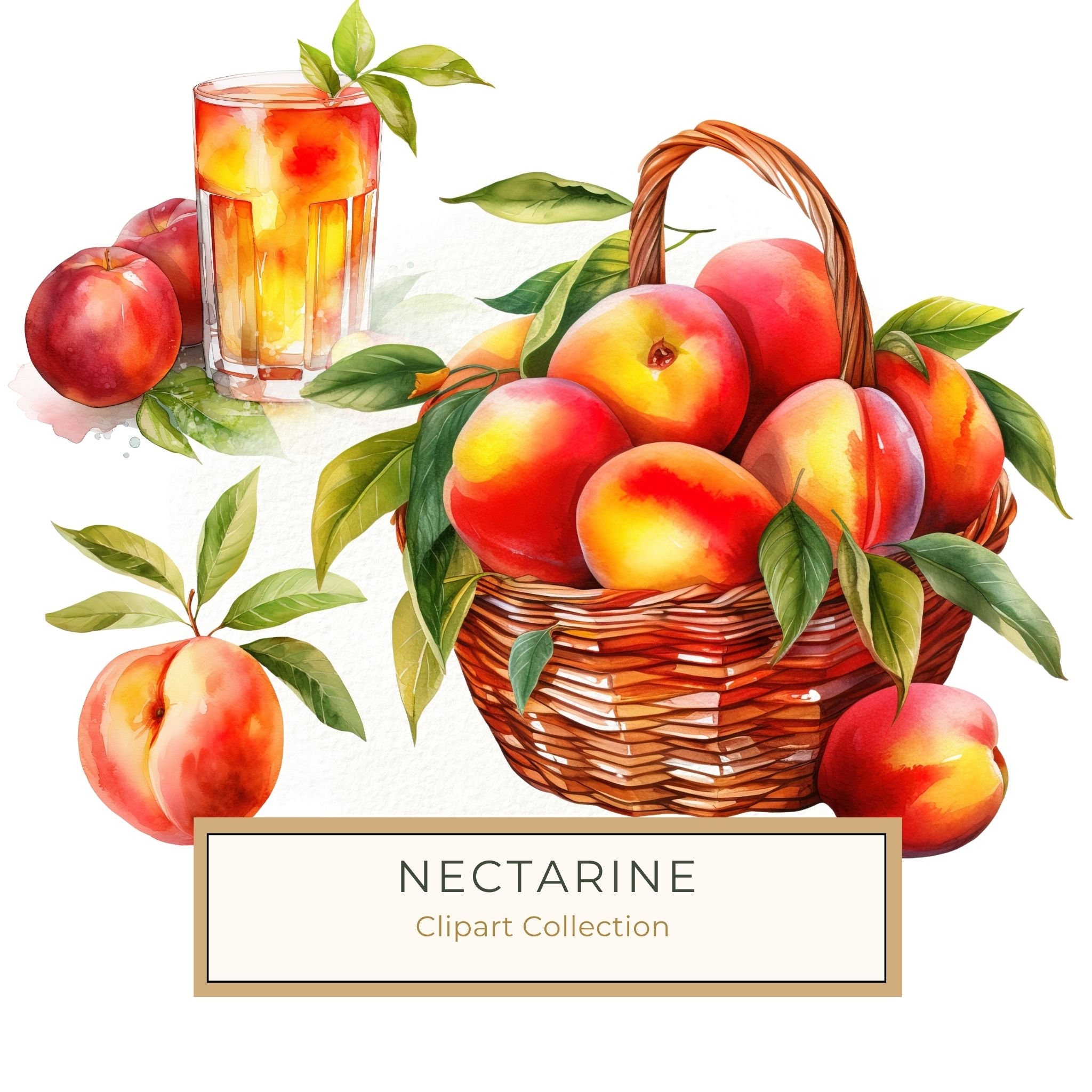 Watercolor Peach Basket Illustration: Rustic DIY Clipart (JPG, PNG)