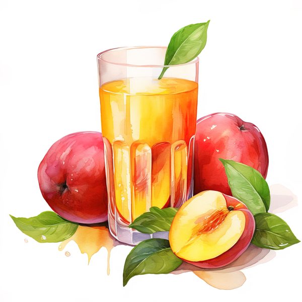 Watercolor Peach Basket Illustration: Rustic DIY Clipart (JPG, PNG) — image 11