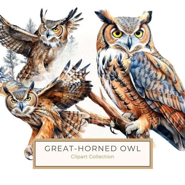 Watercolor Horned Owl Clipart, Woodland Art, Commercial Use