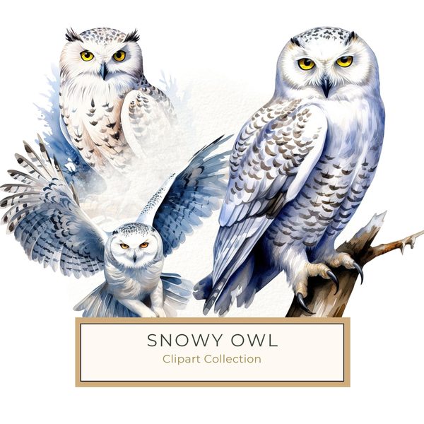 Watercolor Snowy Owl Clipart: Arctic Bird Illustration (JPG/PNG Digital Print)