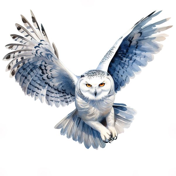 Watercolor Snowy Owl Clipart: Arctic Bird Illustration (JPG/PNG Digital Print) — image 1