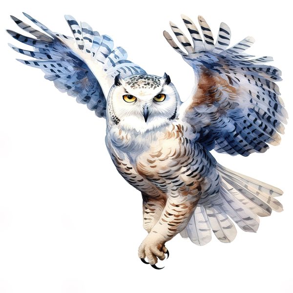 Watercolor Snowy Owl Clipart: Arctic Bird Illustration (JPG/PNG Digital Print) — image 9