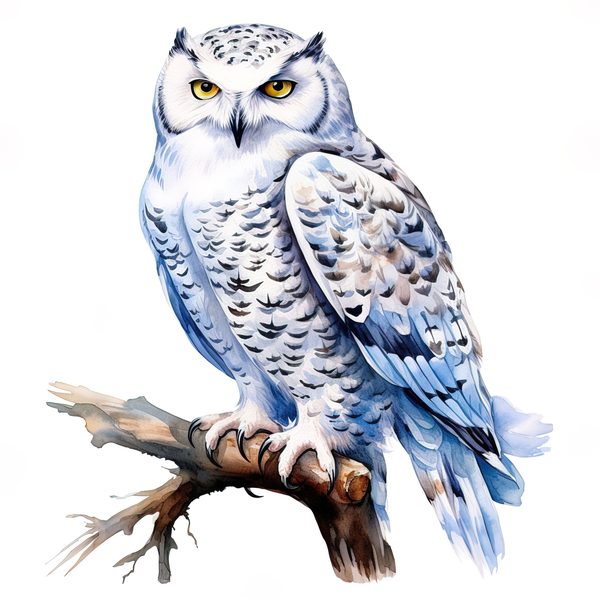 Watercolor Snowy Owl Clipart: Arctic Bird Illustration (JPG/PNG Digital Print) — image 11