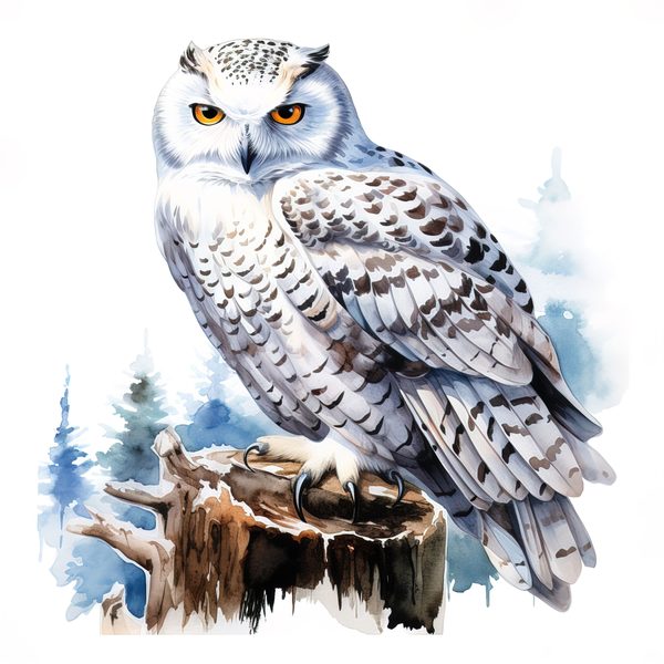 Watercolor Snowy Owl Clipart: Arctic Bird Illustration (JPG/PNG Digital Print) — image 12