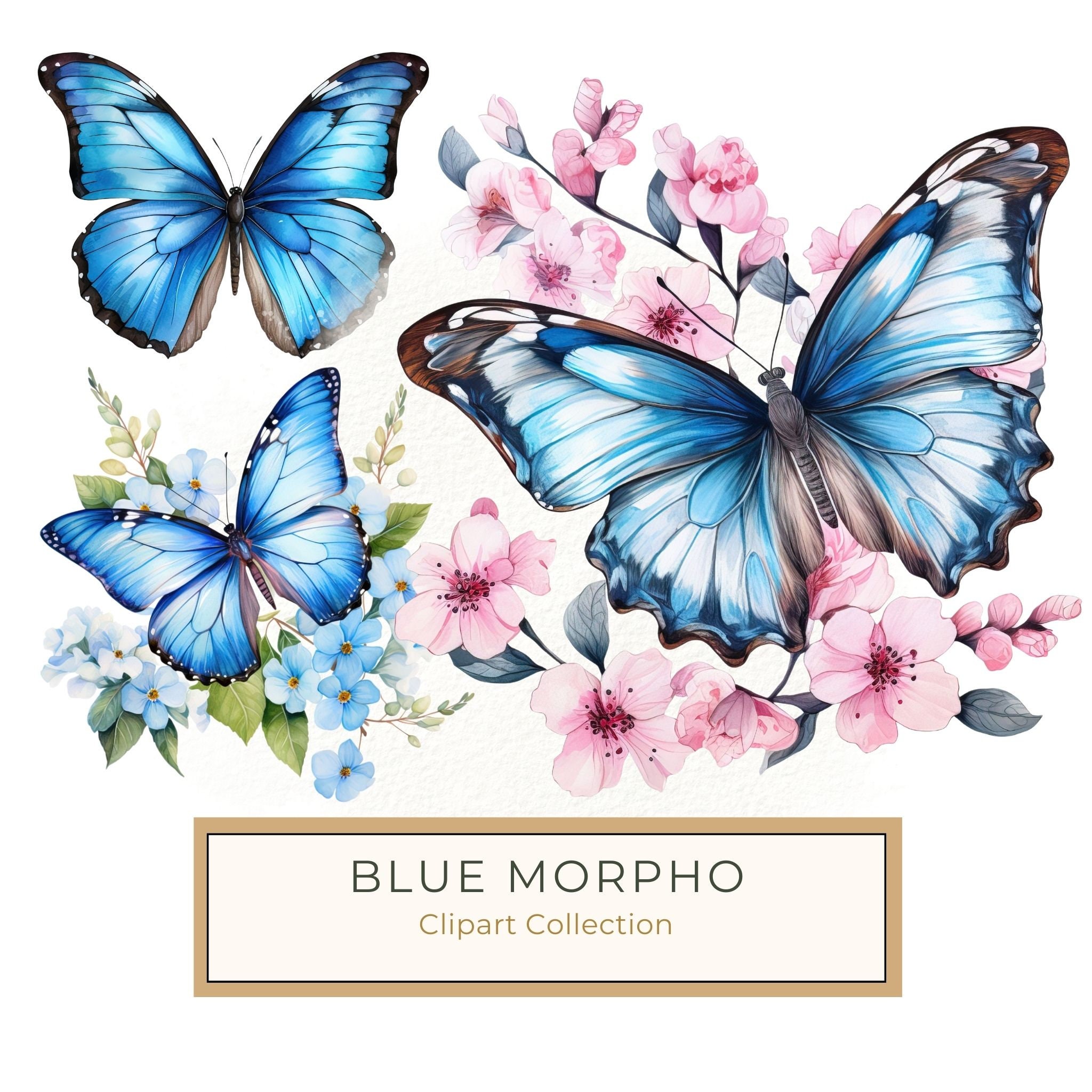 Blue Butterfly Watercolor Clipart: Floral Scrapbooking Graphics (JPG, PNG)