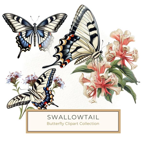 Swallowtail Butterfly Watercolor Clipart: 10 JPG PNG Graphics (Commercial Use)