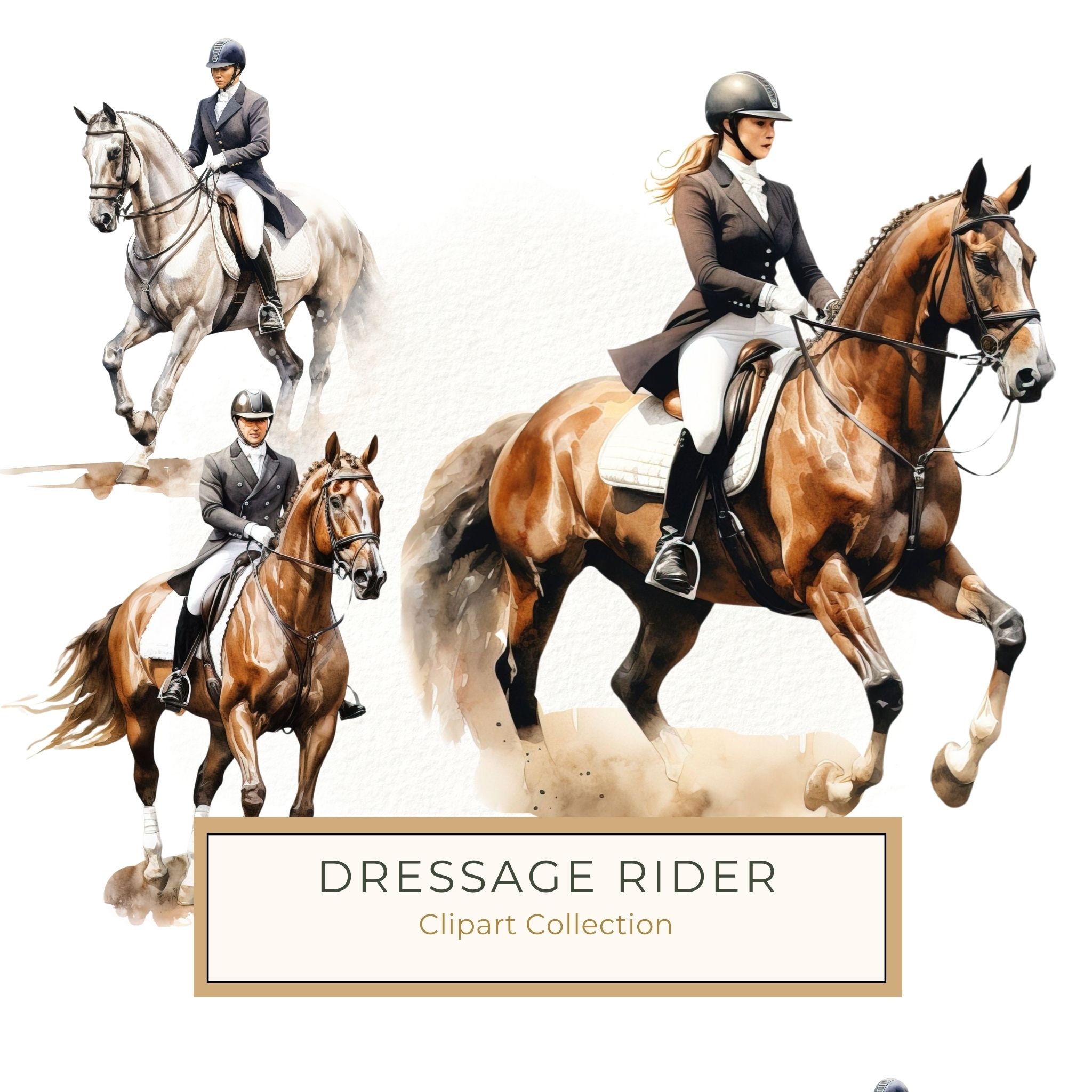 Dressage Rider Watercolor Clipart: Equestrian Art PNG, JPG (Commercial Use)