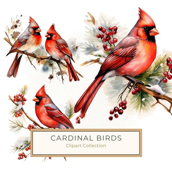 Watercolor Red Cardinal Bird Clipart: Nature-Inspired Art (JPG, PNG)