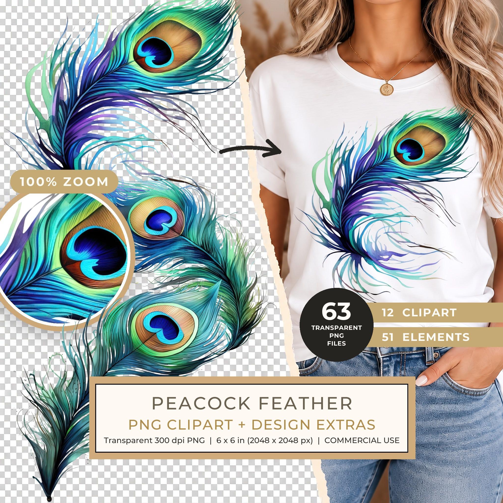 Watercolor Peacock Feather Clipart: PNG, JPG, Commercial Use