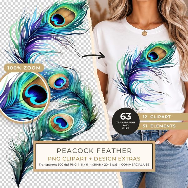 Watercolor Peacock Feather Clipart: PNG, JPG, Commercial Use