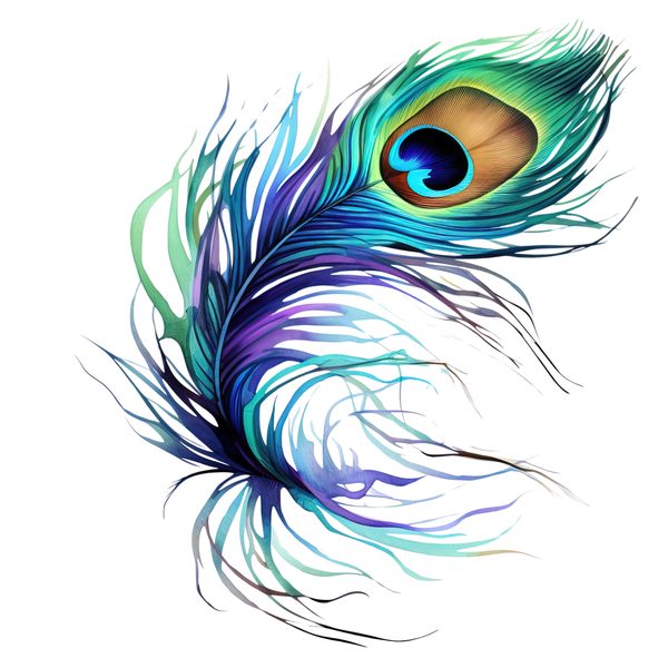 Watercolor Peacock Feather Clipart: PNG, JPG, Commercial Use — image 1