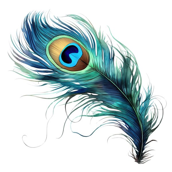 Watercolor Peacock Feather Clipart: PNG, JPG, Commercial Use — image 4