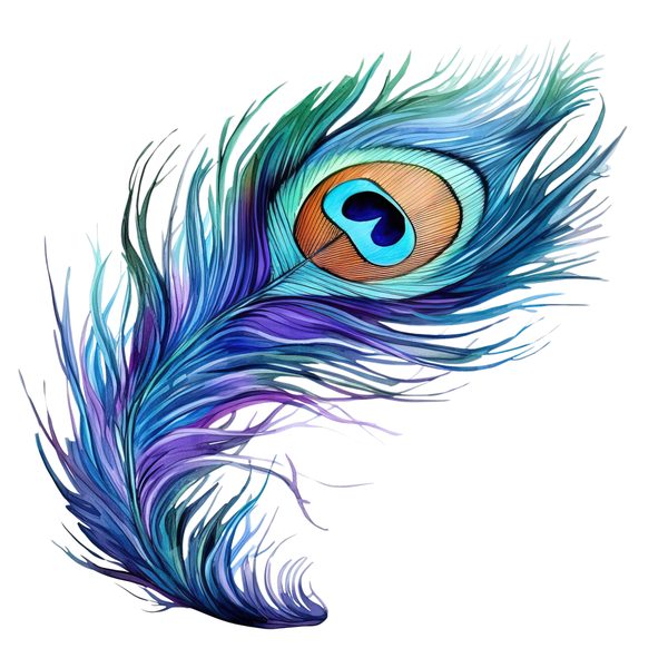 Watercolor Peacock Feather Clipart: PNG, JPG, Commercial Use — image 5